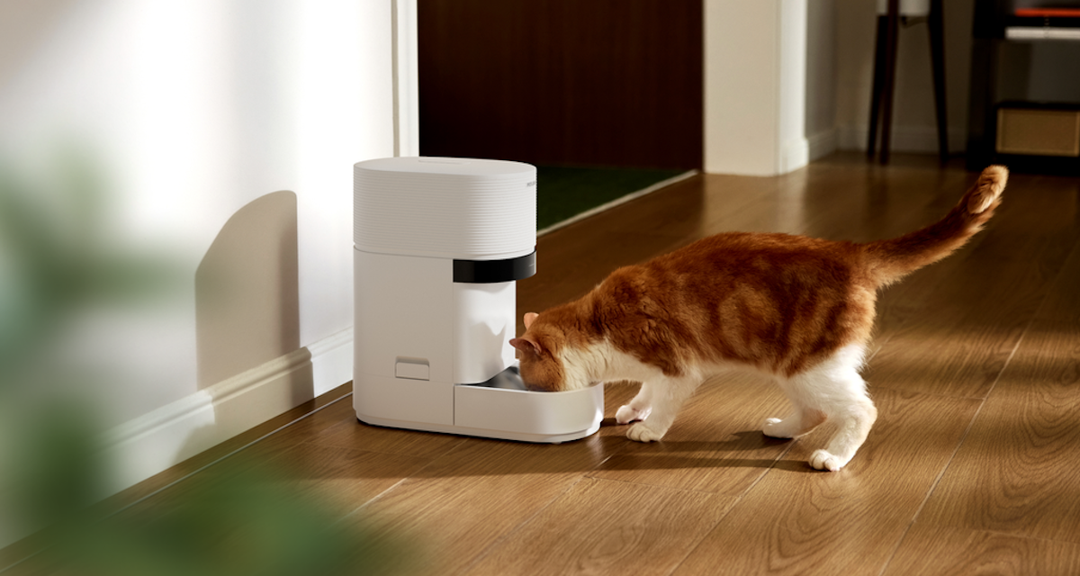 O novo alimentador alimentado por IA da Petlibro é uma virada de jogo para casas com vários gatos