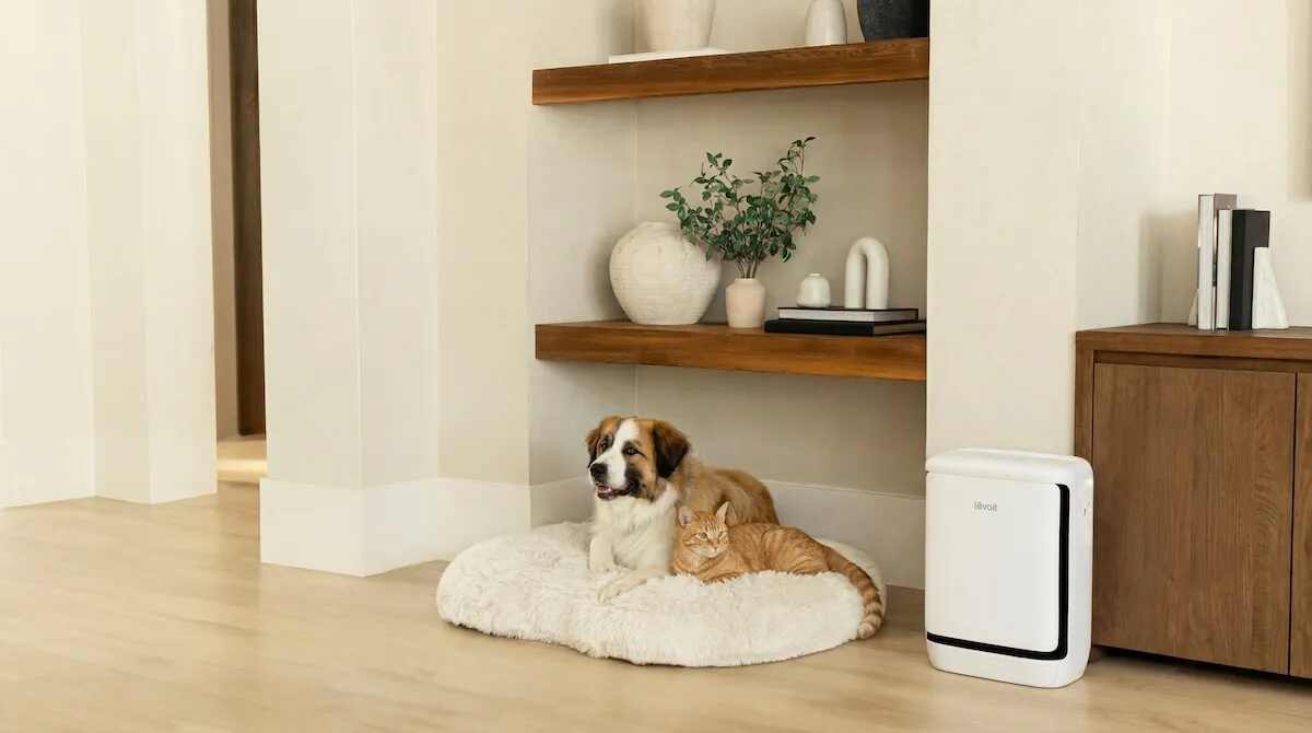 O novo purificador de ar da Levoit é para os odores de animais de estimação que tomaram conta do seu apartamento